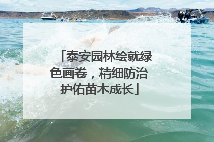 泰安园林绘就绿色画卷，精细防治护佑苗木成长