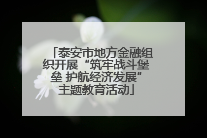 泰安市地方金融组织开展“筑牢战斗堡垒 护航经济发展”主题教育活动