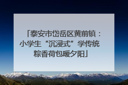 泰安市岱岳区黄前镇：小学生“沉浸式”学传统 粽香荷包暖夕阳
