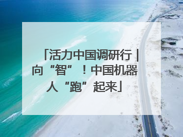 活力中国调研行｜向“智”！中国机器人“跑”起来
