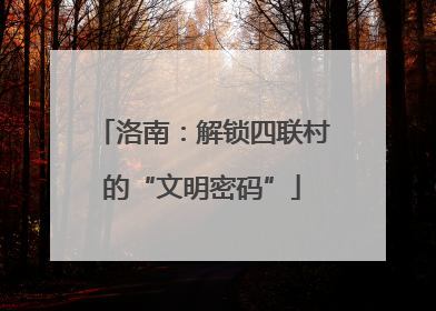洛南：解锁四联村的“文明密码”