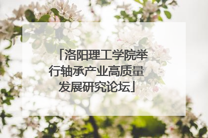 洛阳理工学院举行轴承产业高质量发展研究论坛