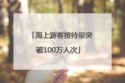 海上游客接待量突破100万人次