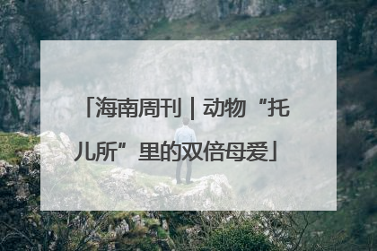 海南周刊｜动物“托儿所”里的双倍母爱