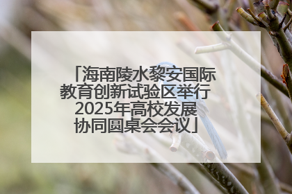 海南陵水黎安国际教育创新试验区举行2025年高校发展协同圆桌会会议