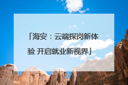 海安：云端探岗新体验 开启就业新视界