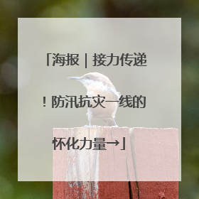海报｜接力传递！防汛抗灾一线的怀化力量→