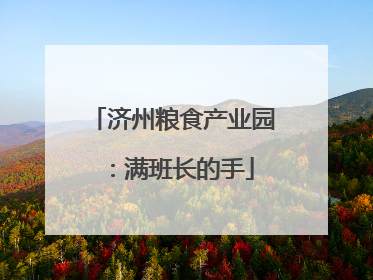 济州粮食产业园：满班长的手