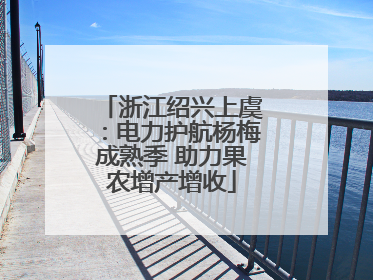 浙江绍兴上虞：电力护航杨梅成熟季 助力果农增产增收