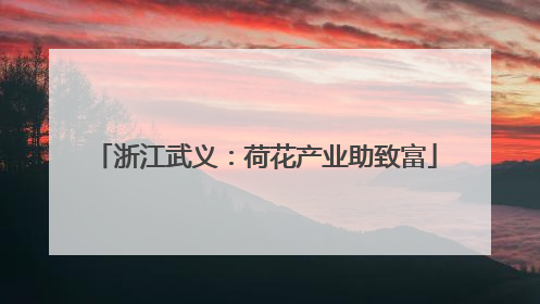 浙江武义：荷花产业助致富