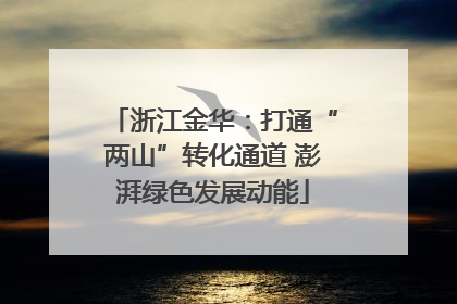 浙江金华：打通“两山”转化通道 澎湃绿色发展动能