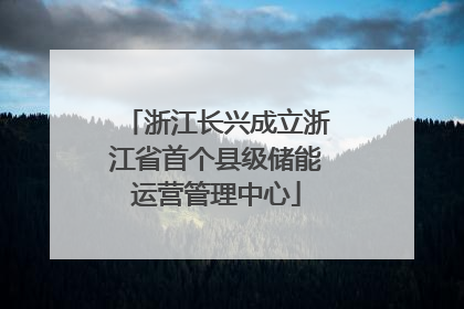 浙江长兴成立浙江省首个县级储能运营管理中心