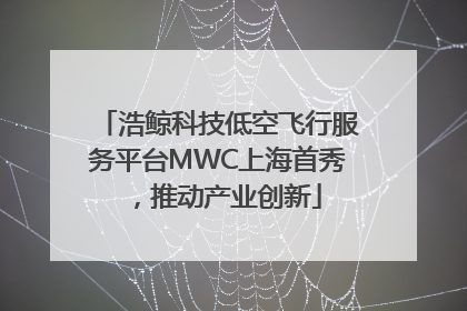 浩鲸科技低空飞行服务平台MWC上海首秀，推动产业创新