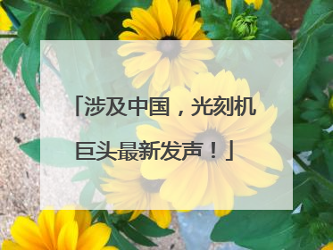 涉及中国，光刻机巨头最新发声！