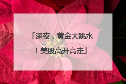 深夜，黄金大跳水！美股高开高走