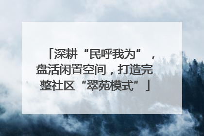 深耕“民呼我为”，盘活闲置空间，打造完整社区“翠苑模式”