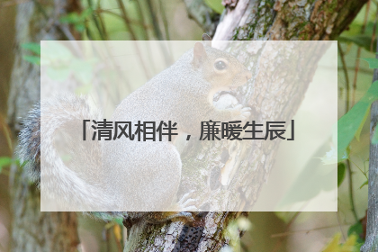 清风相伴，廉暖生辰