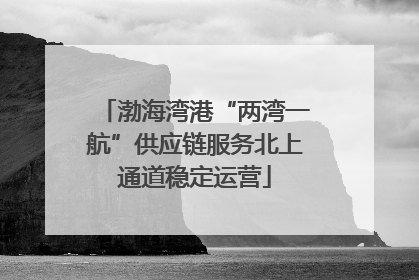 渤海湾港“两湾一航”供应链服务北上通道稳定运营