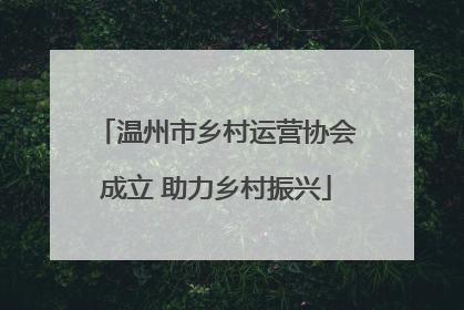 温州市乡村运营协会成立 助力乡村振兴