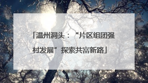 温州洞头：“片区组团强村发展”探索共富新路