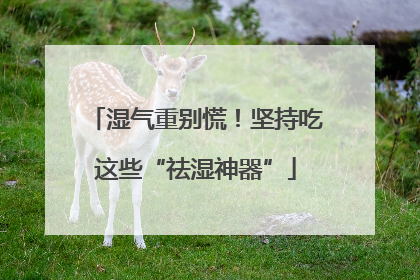 湿气重别慌！坚持吃这些“祛湿神器”