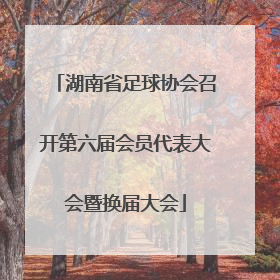 湖南省足球协会召开第六届会员代表大会暨换届大会