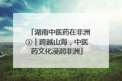 湖南中医药在非洲③｜跨越山海，中医药文化浸润非洲