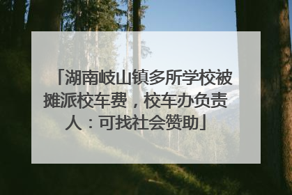 湖南岐山镇多所学校被摊派校车费，校车办负责人：可找社会赞助