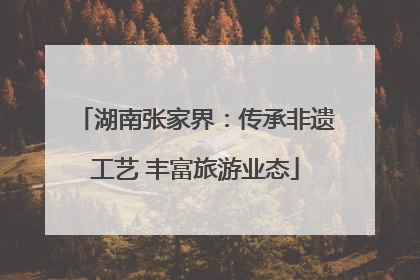 湖南张家界：传承非遗工艺 丰富旅游业态