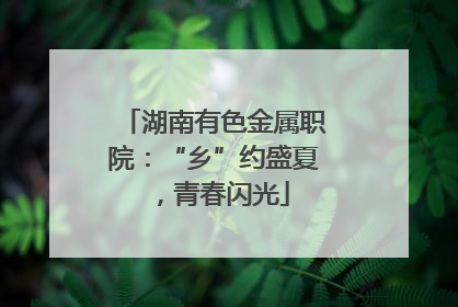 湖南有色金属职院：“乡”约盛夏，青春闪光