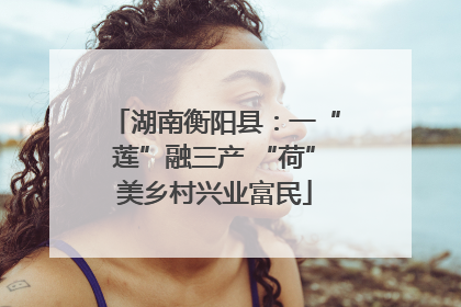 湖南衡阳县：一“莲”融三产 “荷”美乡村兴业富民