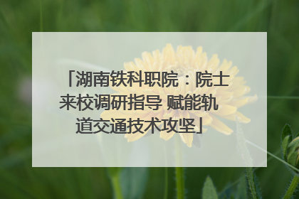 湖南铁科职院：院士来校调研指导 赋能轨道交通技术攻坚