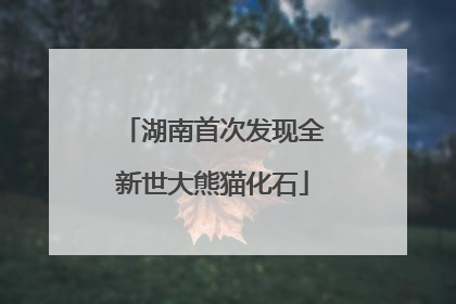 湖南首次发现全新世大熊猫化石
