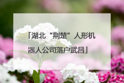 湖北“荆楚”人形机器人公司落户武昌