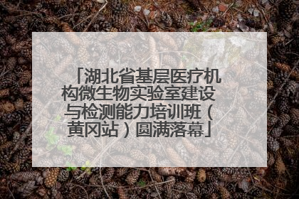 湖北省基层医疗机构微生物实验室建设与检测能力培训班（黄冈站）圆满落幕
