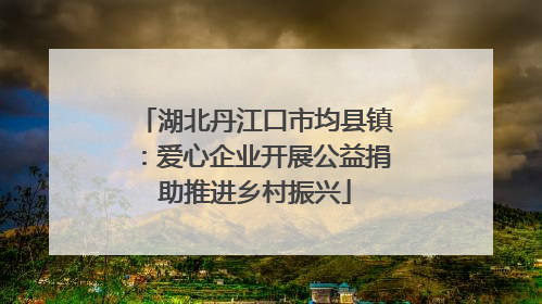 湖北丹江口市均县镇：爱心企业开展公益捐助推进乡村振兴