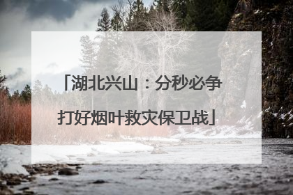 湖北兴山：分秒必争 打好烟叶救灾保卫战