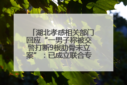 湖北孝感相关部门回应“一男子称被交警打断9根肋骨未立案”：已成立联合专班开展工作