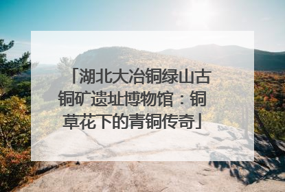 湖北大冶铜绿山古铜矿遗址博物馆：铜草花下的青铜传奇