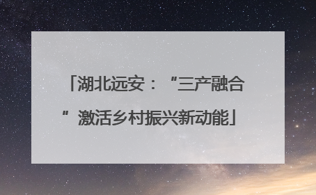湖北远安：“三产融合”激活乡村振兴新动能