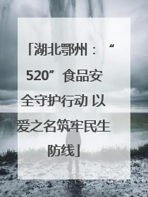 湖北鄂州：“520”食品安全守护行动 以爱之名筑牢民生防线