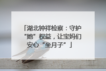 湖北钟祥检察：守护“她”权益，让宝妈们安心“坐月子”