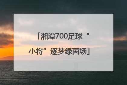 湘潭700足球“小将”逐梦绿茵场