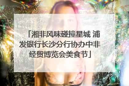 湘非风味碰撞星城 浦发银行长沙分行协办中非经贸博览会美食节