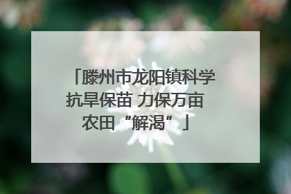 滕州市龙阳镇科学抗旱保苗 力保万亩农田“解渴”