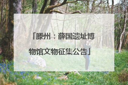 滕州：薛国遗址博物馆文物征集公告