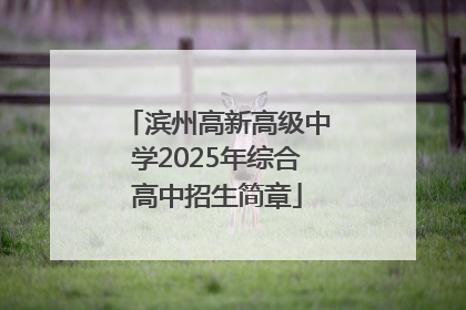 滨州高新高级中学2025年综合高中招生简章