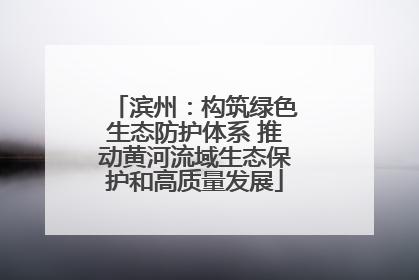 滨州：构筑绿色生态防护体系 推动黄河流域生态保护和高质量发展