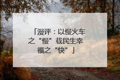 漫评：以慢火车之“慢”载民生幸福之“快”