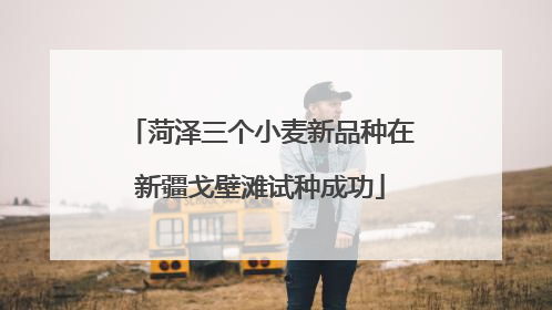 菏泽三个小麦新品种在新疆戈壁滩试种成功